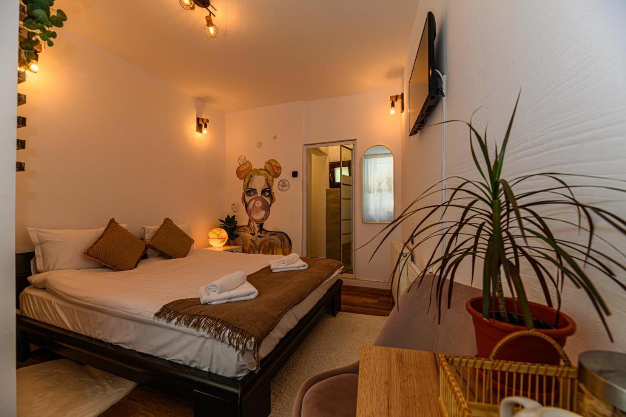 Appartamento Backpacker's Braşov